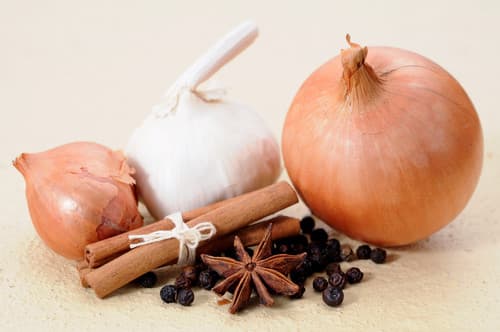 GARLIC & ONION (GF)